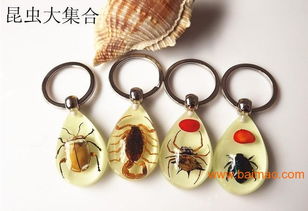 水晶 工藝 禮品廠,浙江 昆蟲(chóng) 標(biāo)本 飾品 鑰匙扣批發(fā)